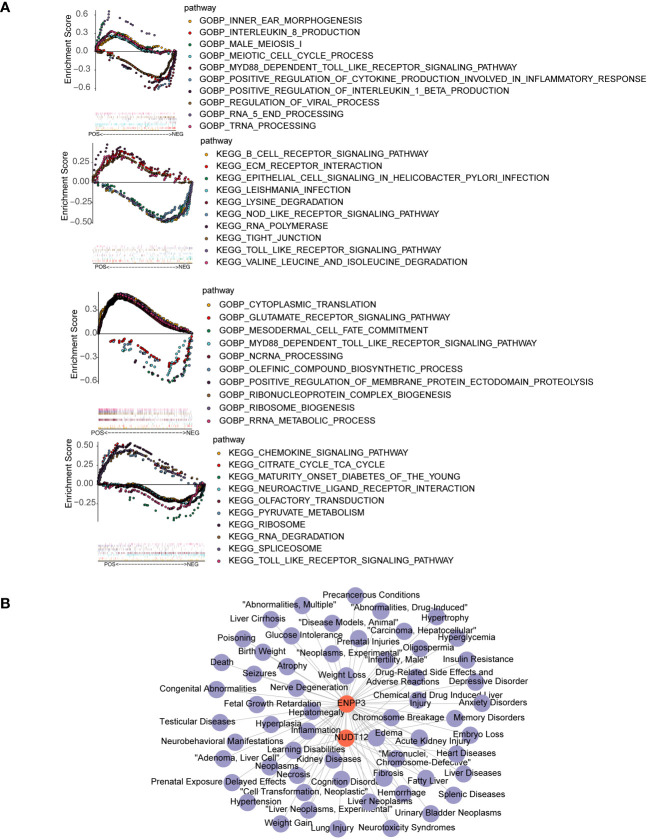 Figure 4