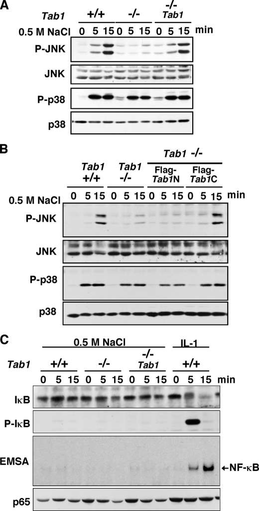 FIGURE 4.