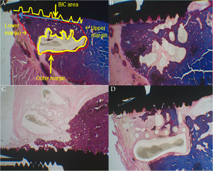 Fig. 5