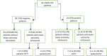 Patients with COVID-19 with deep venous US of the lower extremity and DVT. COVID-19+ = had COVID-19; DVT+ = Had deep venous thrombosis; DVT− = Did not have deep venous thrombosis.