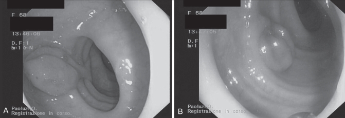 Figure 1)