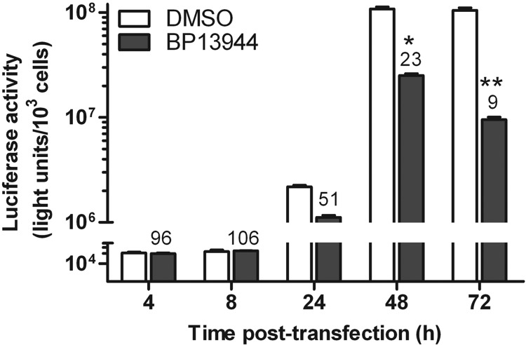 FIG 6