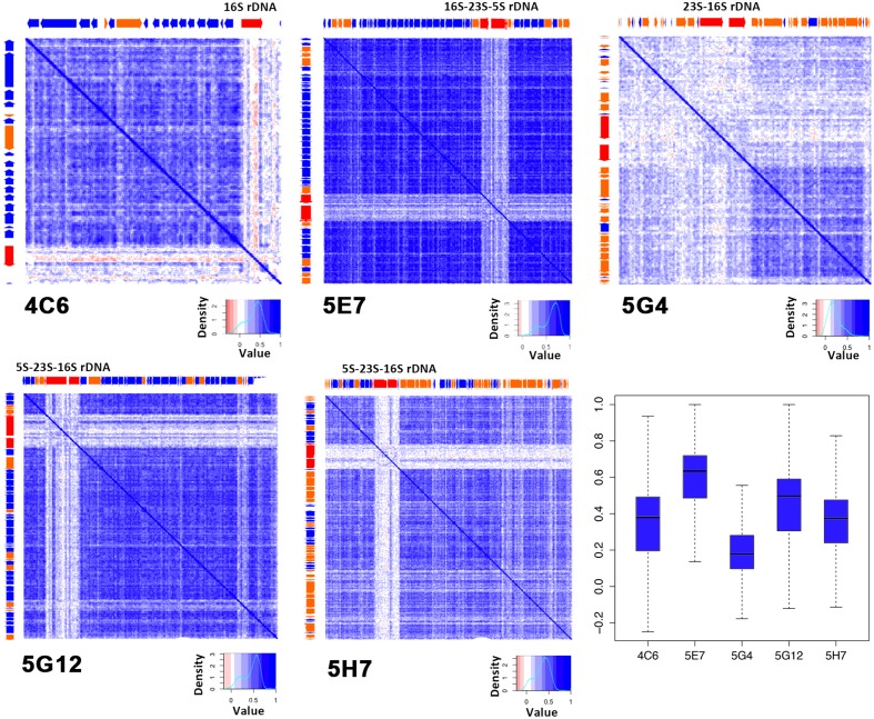 FIGURE 4