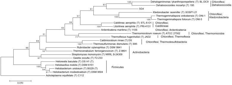 FIGURE 2