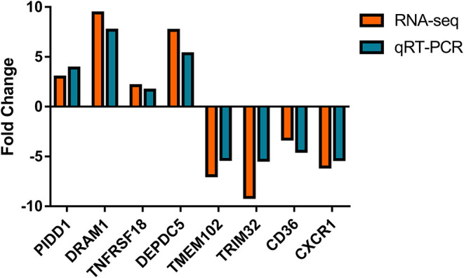 Figure 10