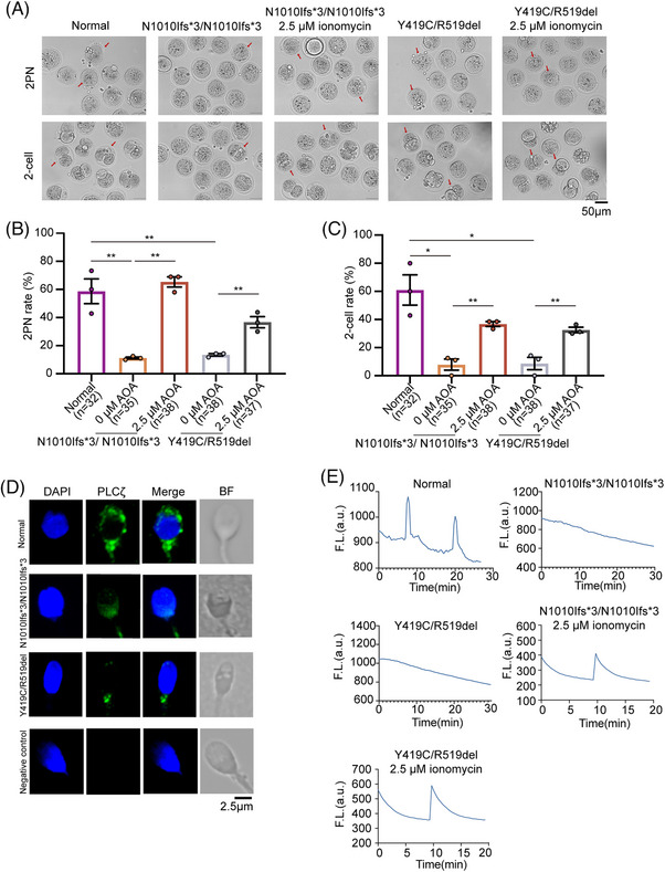 FIGURE 2