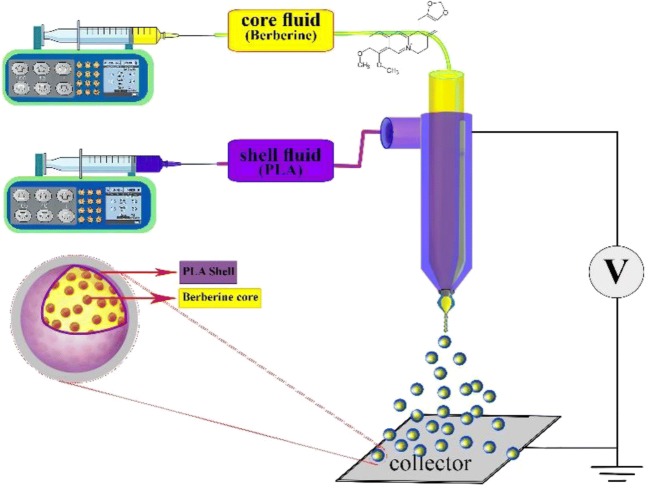 Fig. 1