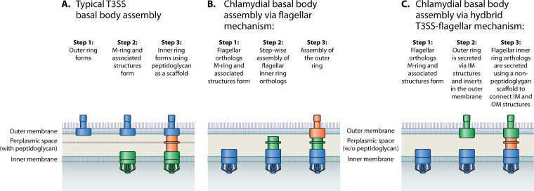 FIG 2