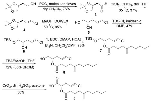 Scheme 2