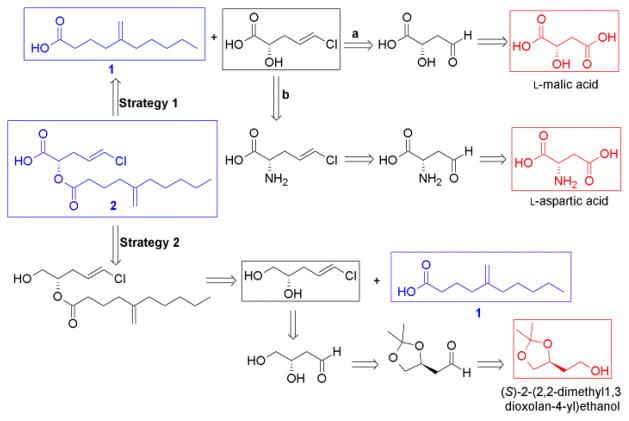 Scheme 1