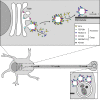 Fig. 10