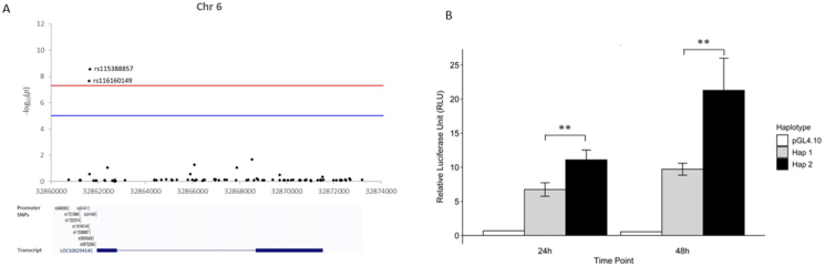 Fig. 3