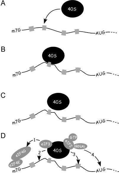 Fig 1.