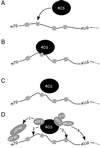 Fig 1.
