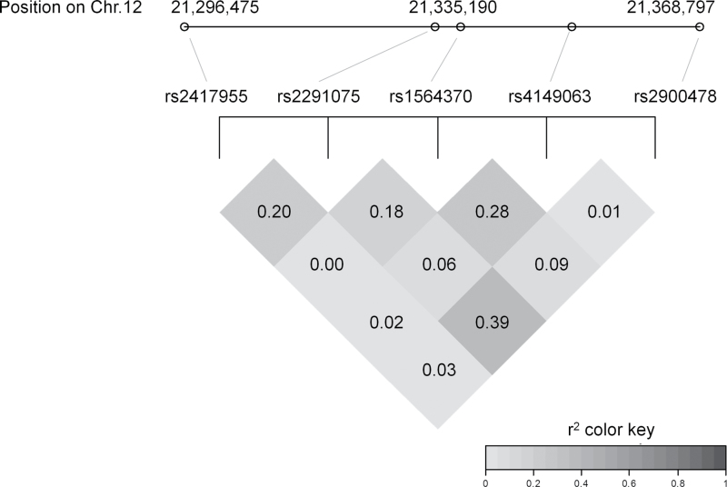 FIG. 1.