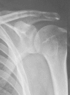 Fig. 6
