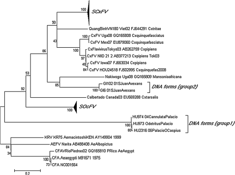 FIG. 2.