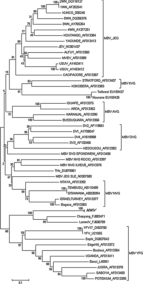 FIG. 1.