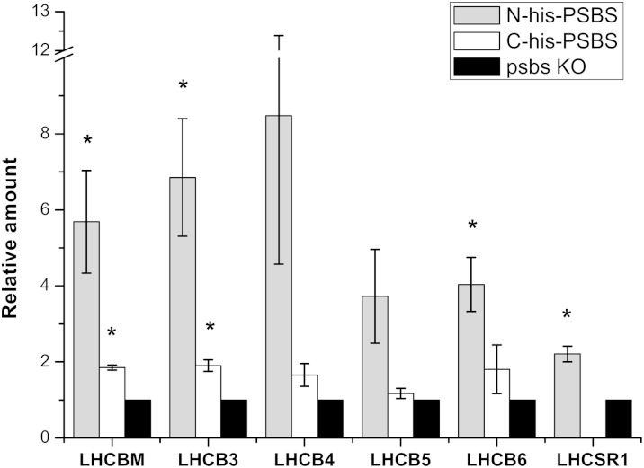 Figure 5.