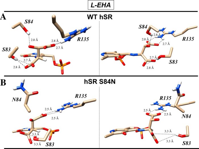 Figure 11.