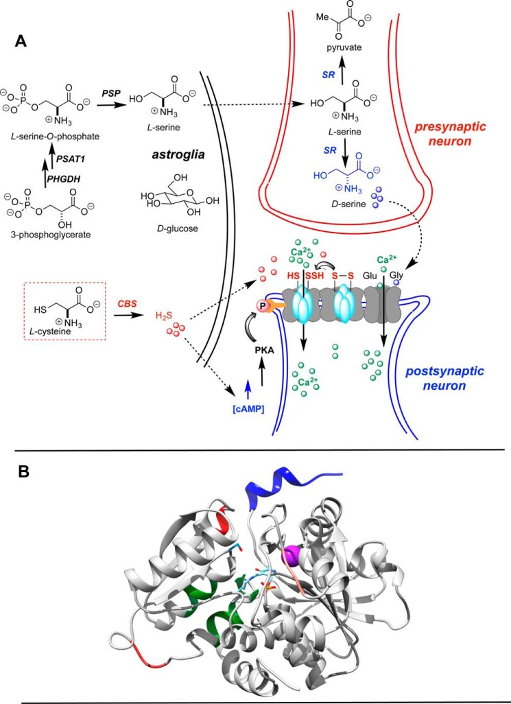 Figure 2.