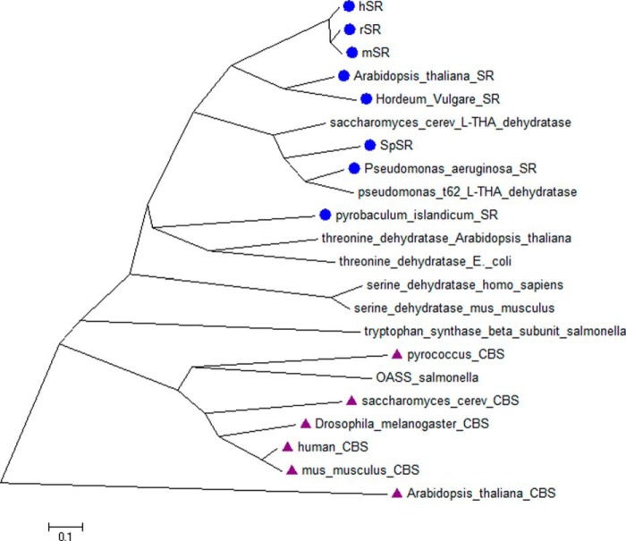 Figure 12.