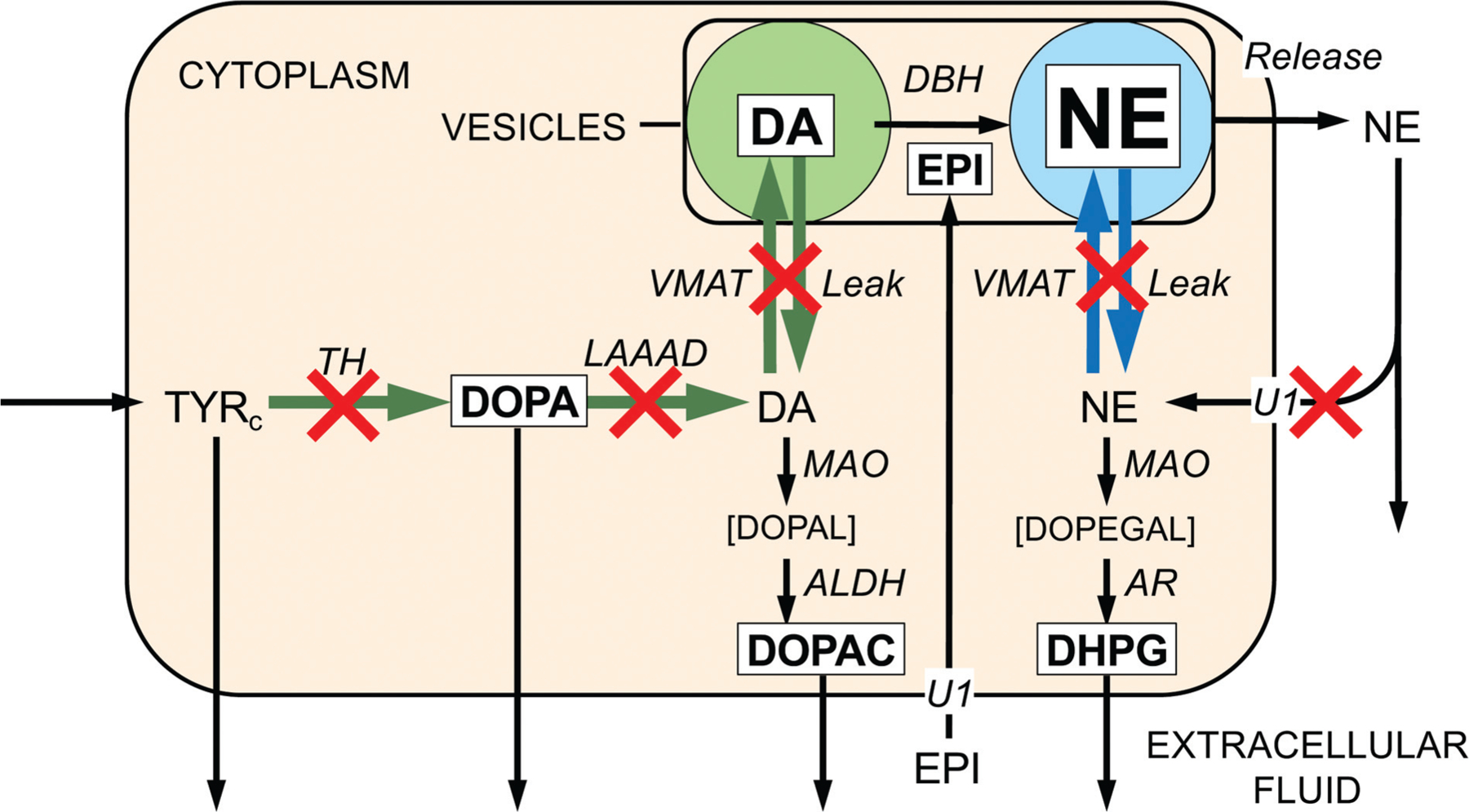 Fig. 2