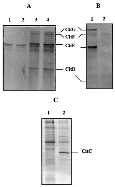 FIG. 6