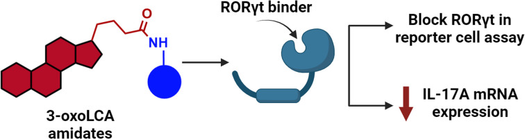 graphic file with name d3ra08086b-ga.jpg