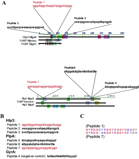 FIG. 4.