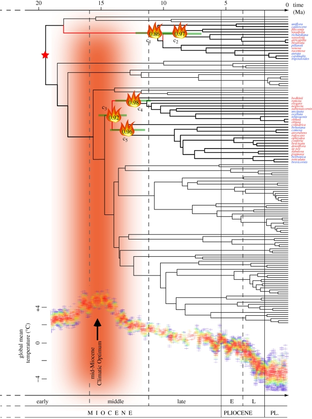 Figure 2.