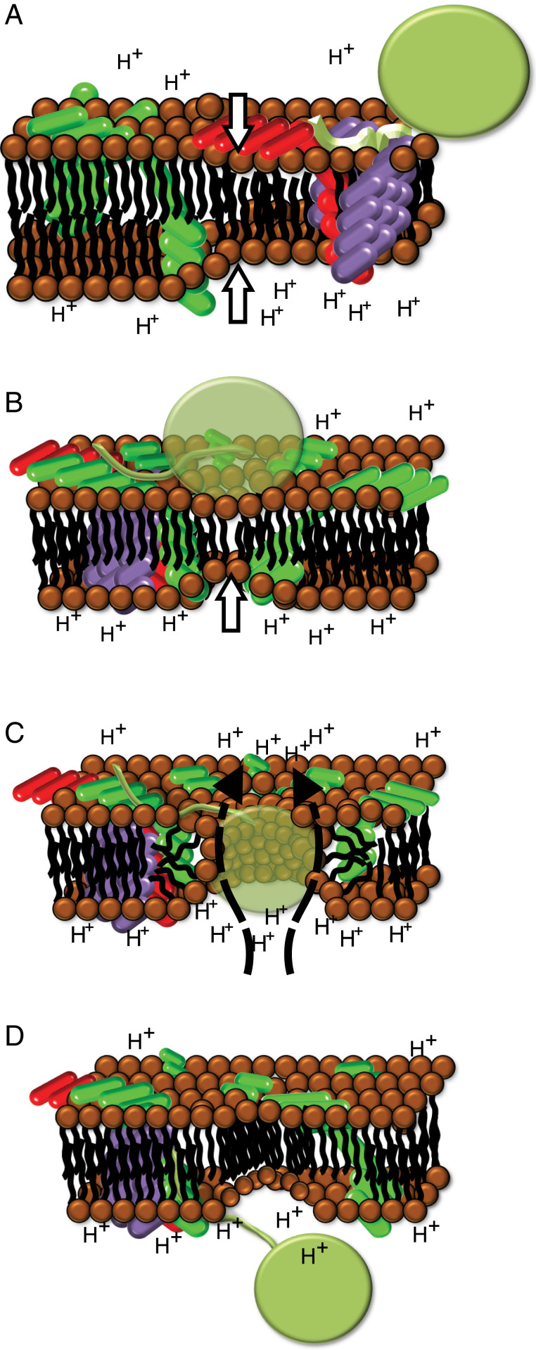 Fig. 5.