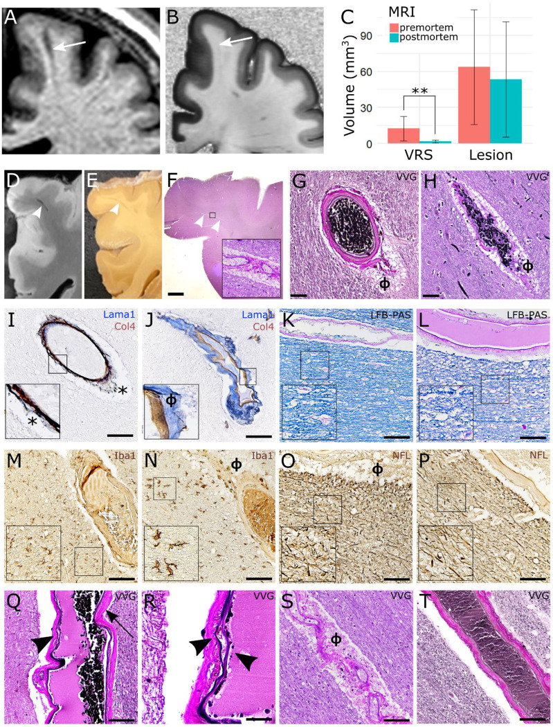 Figure 5: