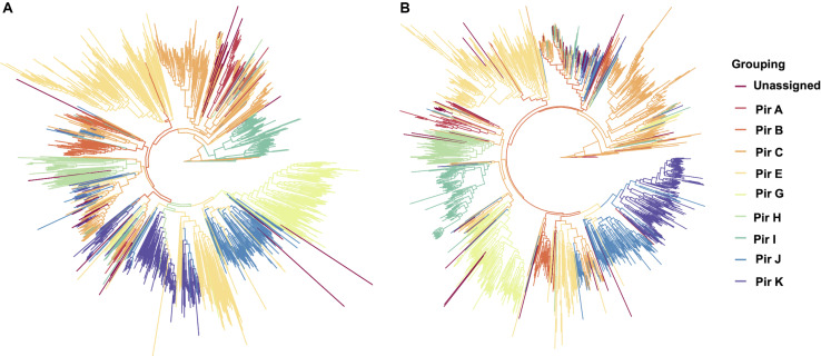 FIGURE 3