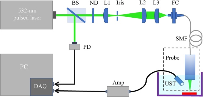 Fig. 1