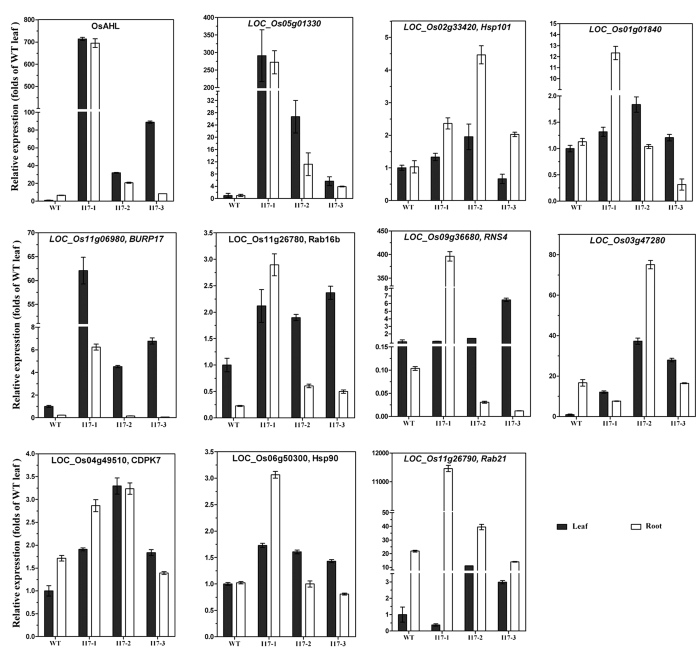 Figure 12