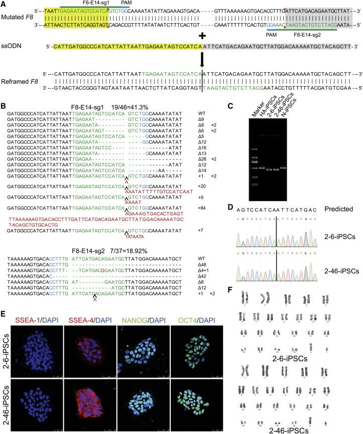 Figure 2