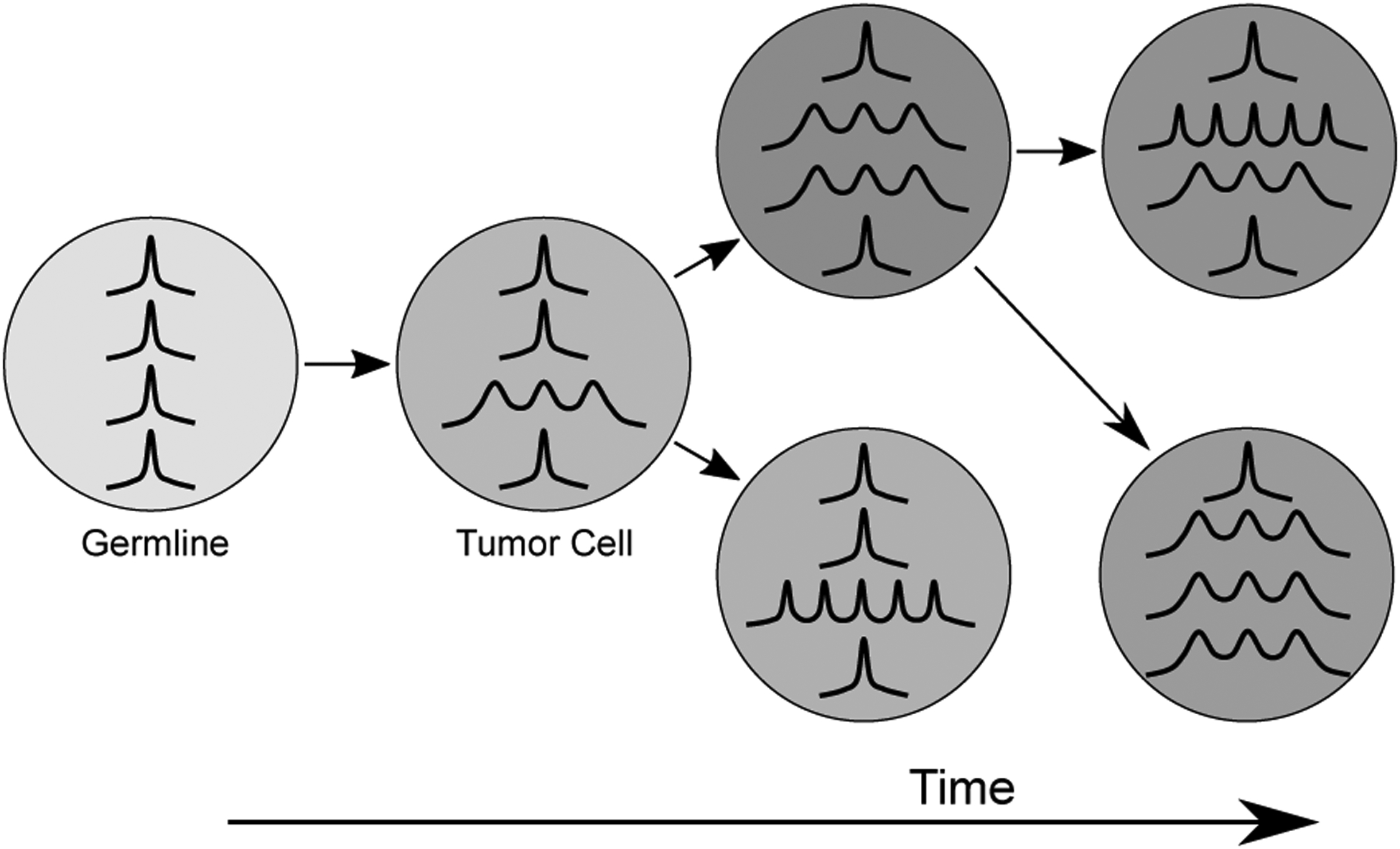 Figure 6: