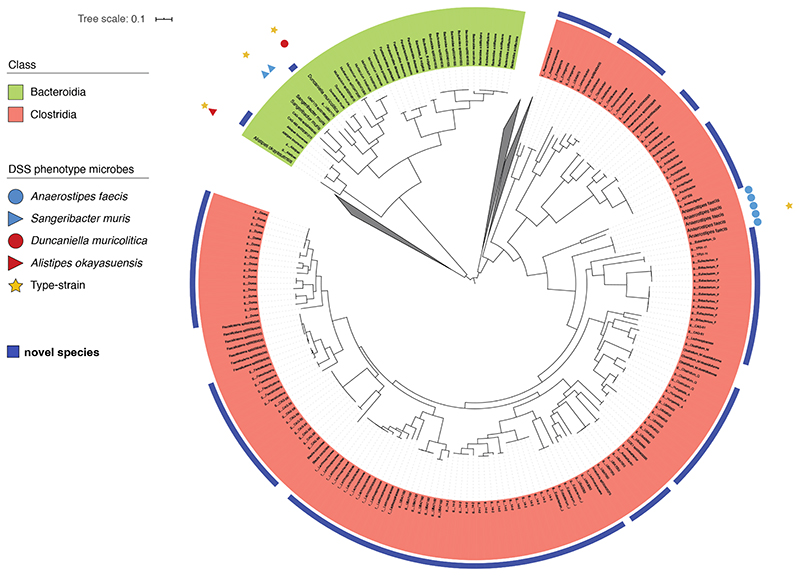 Extended Data Fig. 4