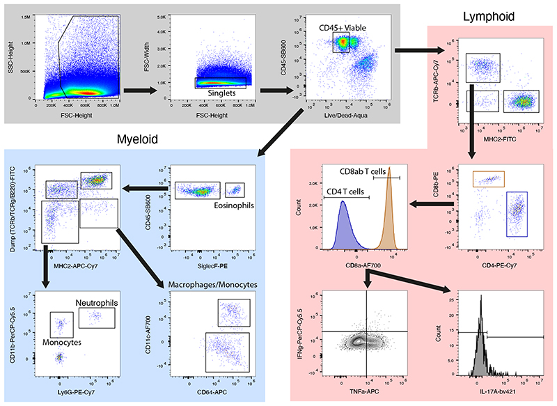 Extended Data Fig. 6