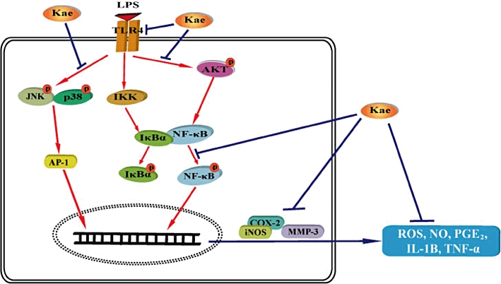 Figure 14