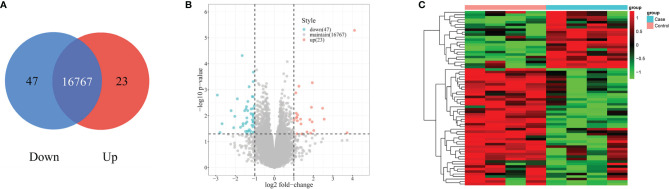 Figure 3