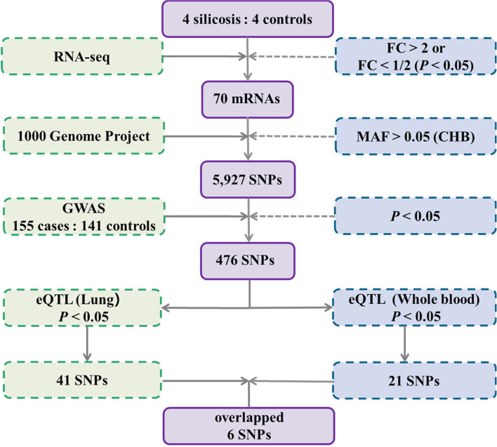 Figure 1