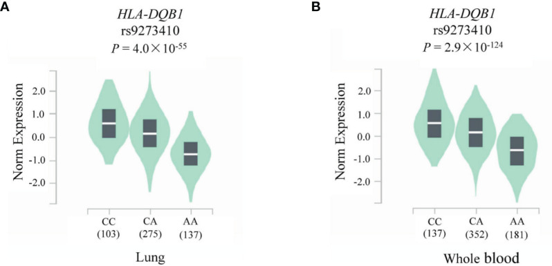 Figure 5