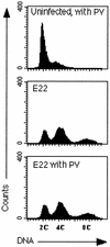 FIG. 5