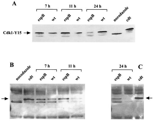 FIG. 9