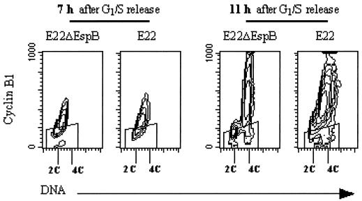 FIG. 8