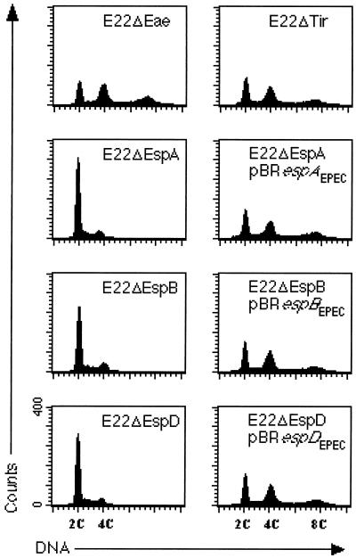 FIG. 3