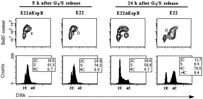 FIG. 7