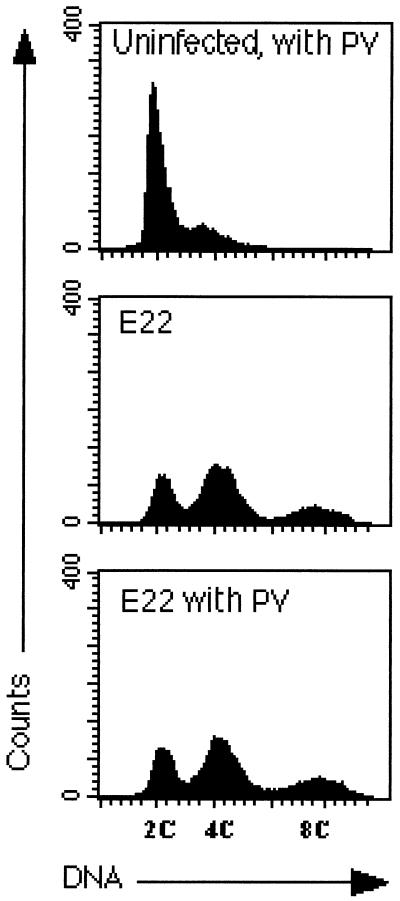 FIG. 5